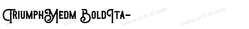 TriumphMedm BoldIta字体转换
